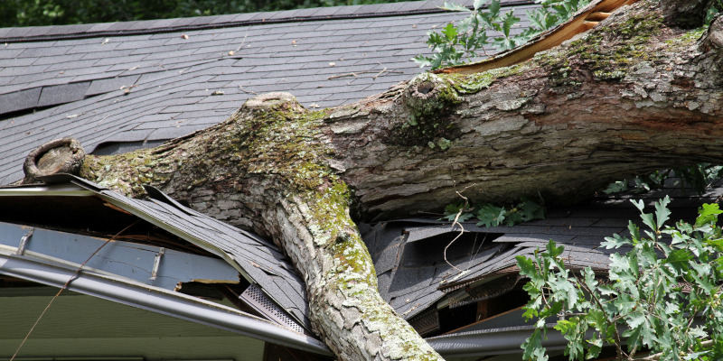 What to Do First When You Need Emergency Roof Repairs