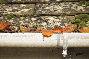 Three Reasons You Should Consider Roof Cleaning